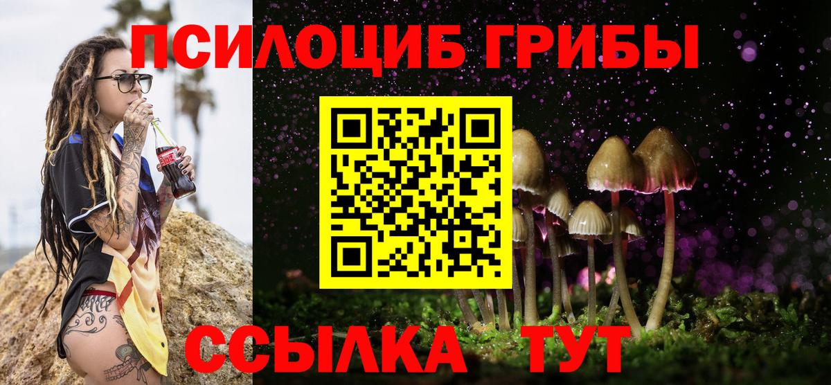 цены   Вход с VPN  Лесной  Галлюциногенные грибы Psilocybe 