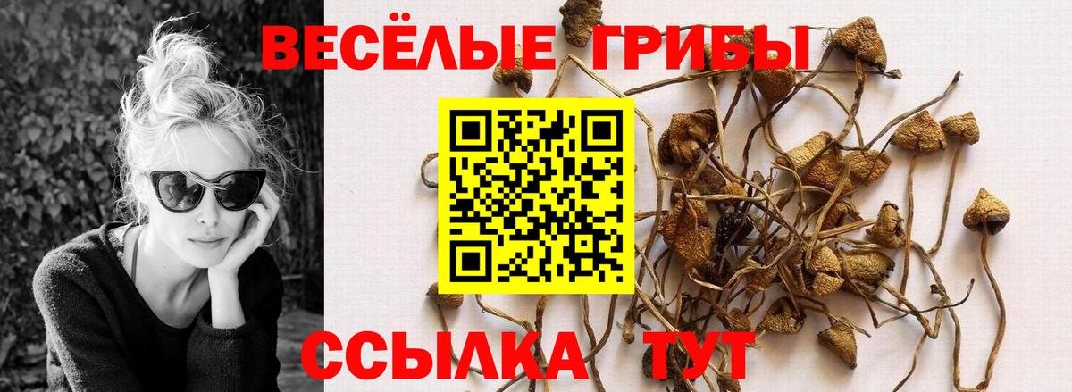 Псилоцибиновые грибы мухоморы Лесной